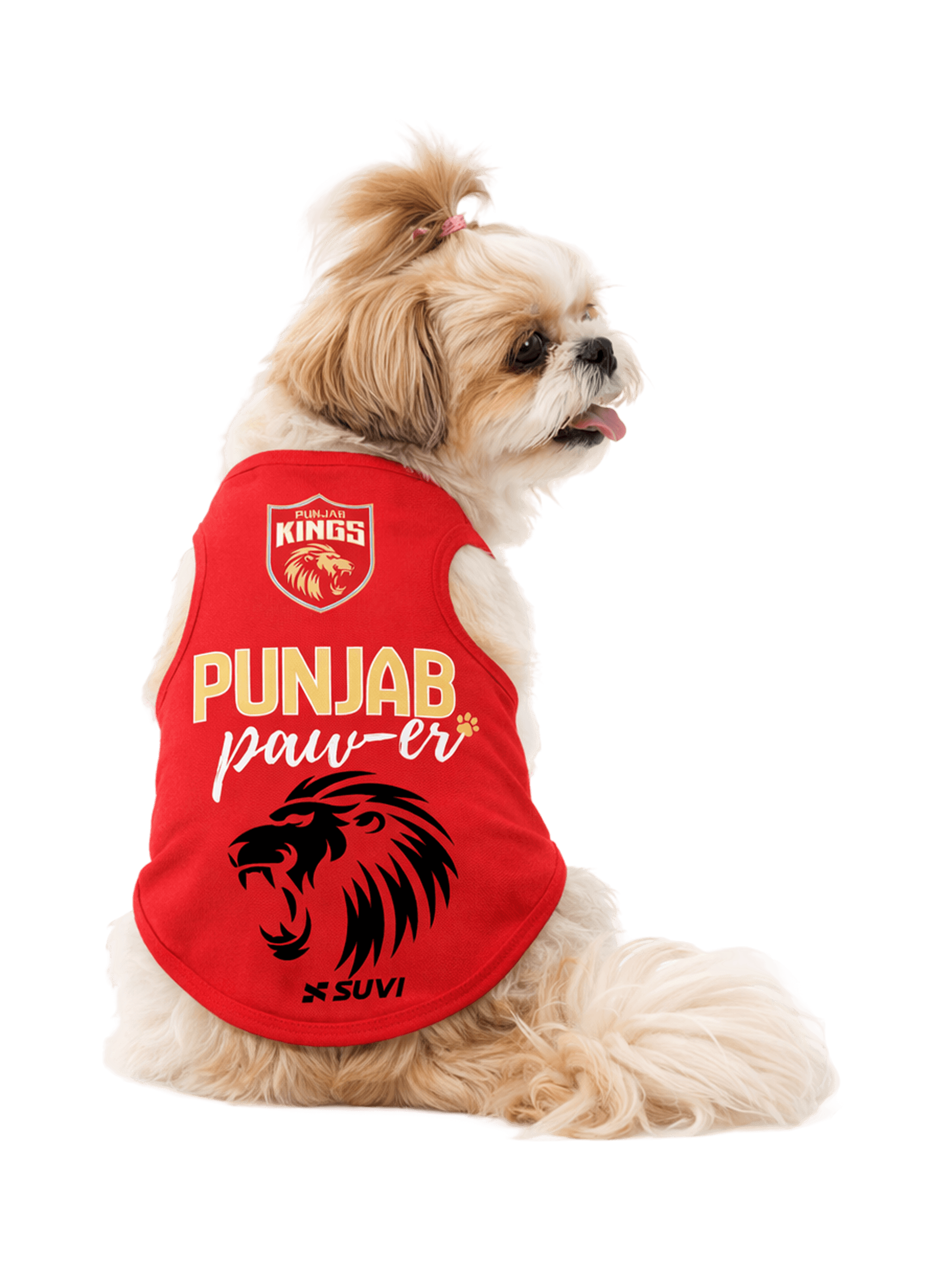pbks-punjab-paw-er-pet-wear