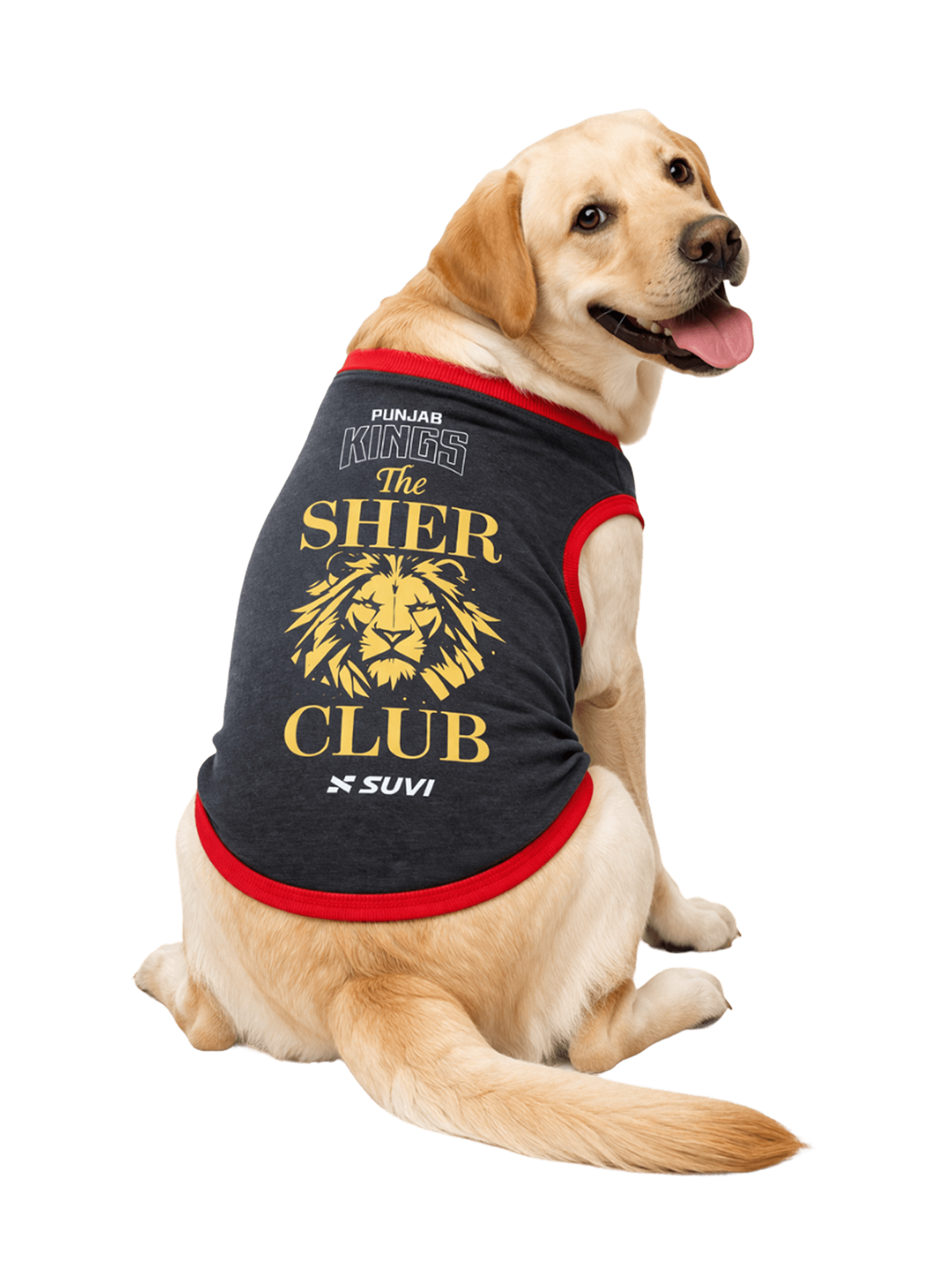 pbks-the-sher-club-pet-wear